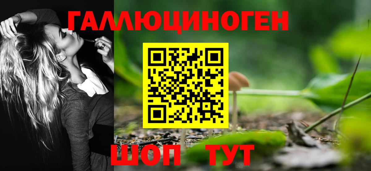 Похвистнево  Галлюциногенные грибы мицелий  Псилоцибиновые грибы Psilocybe  что такое наркотик  Вход с VPN 
